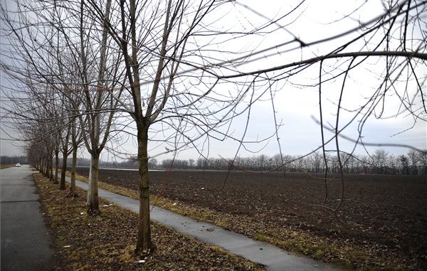 debrecen_thyssen