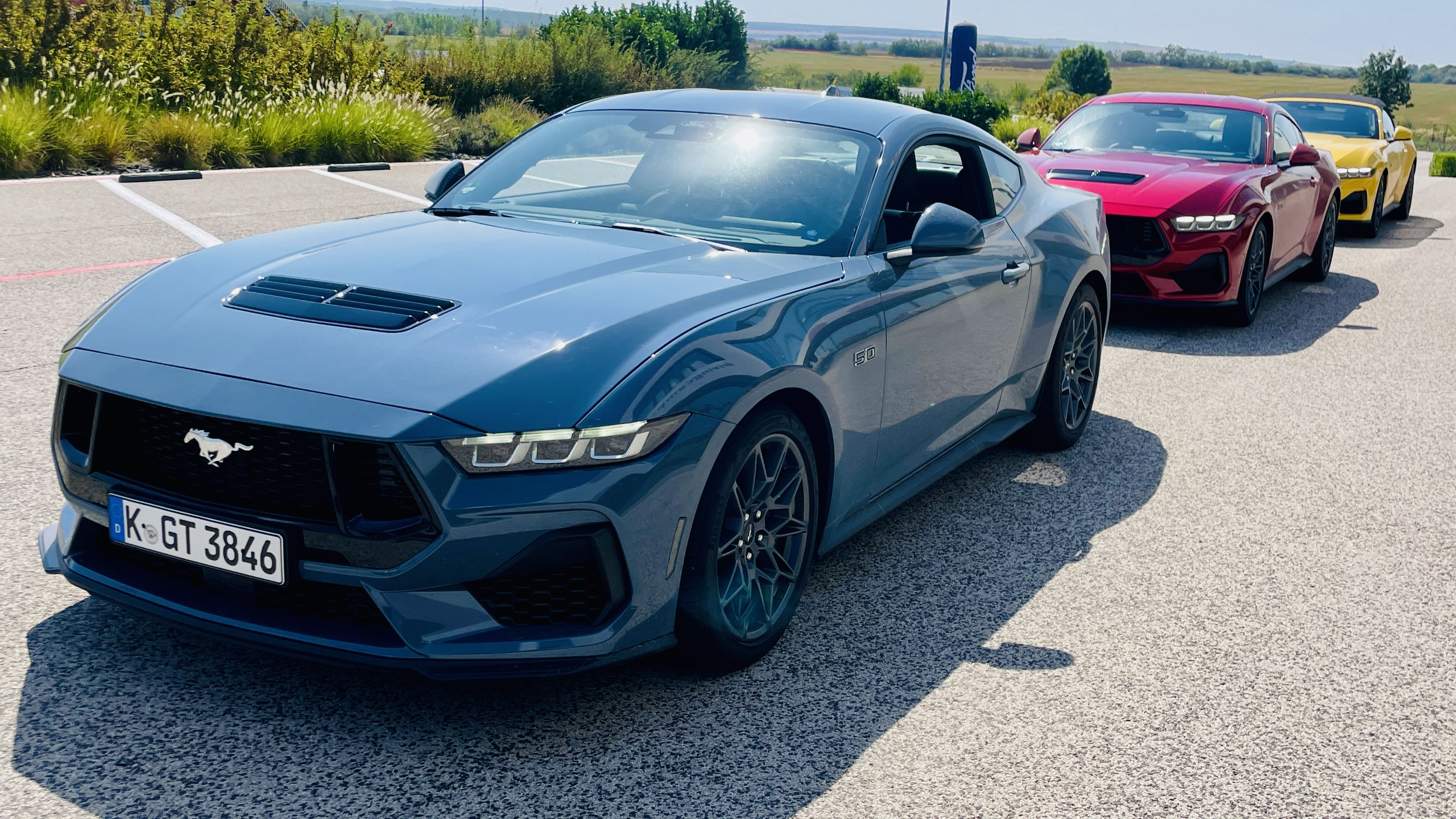 mustang6