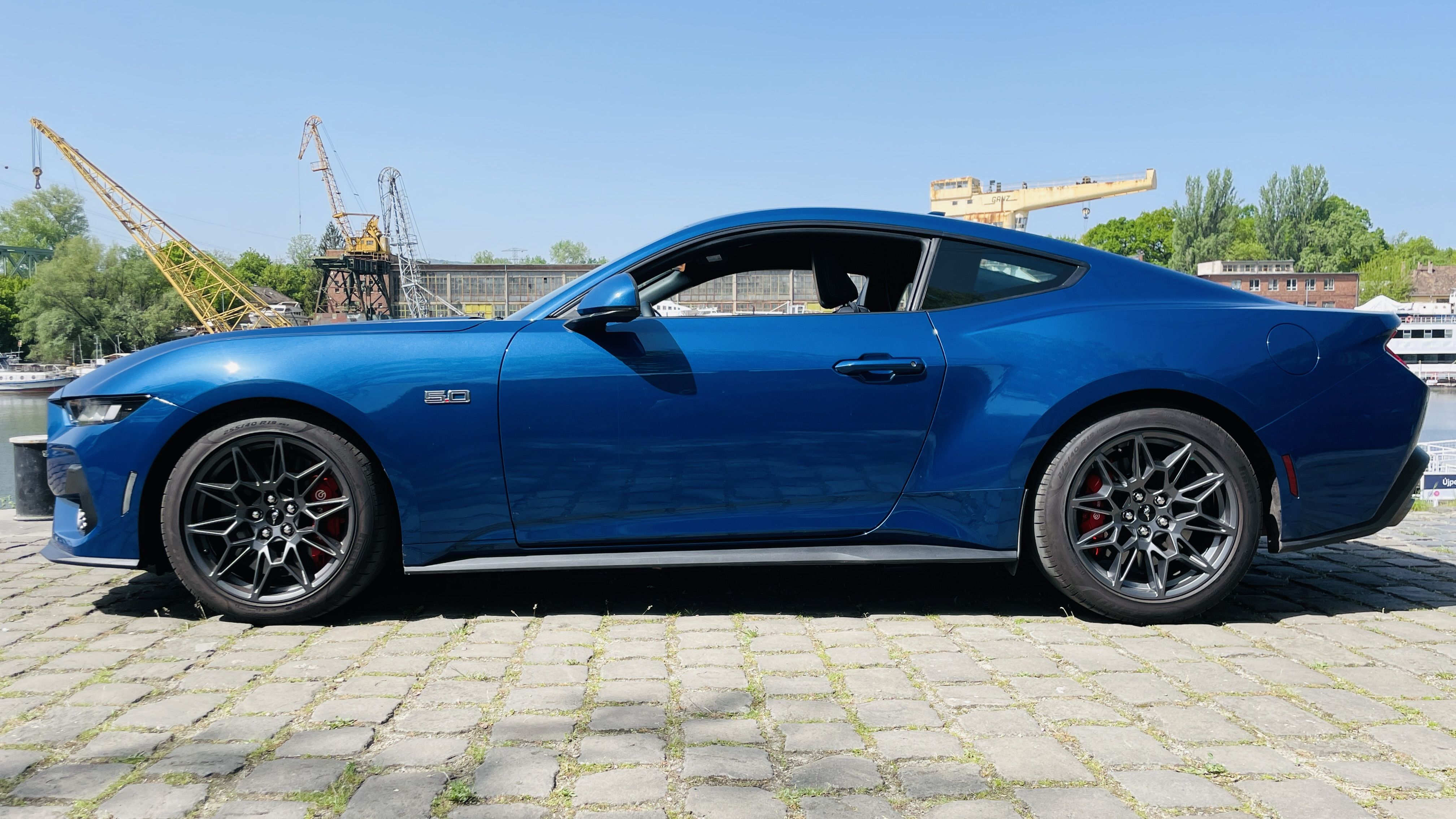 mustang1