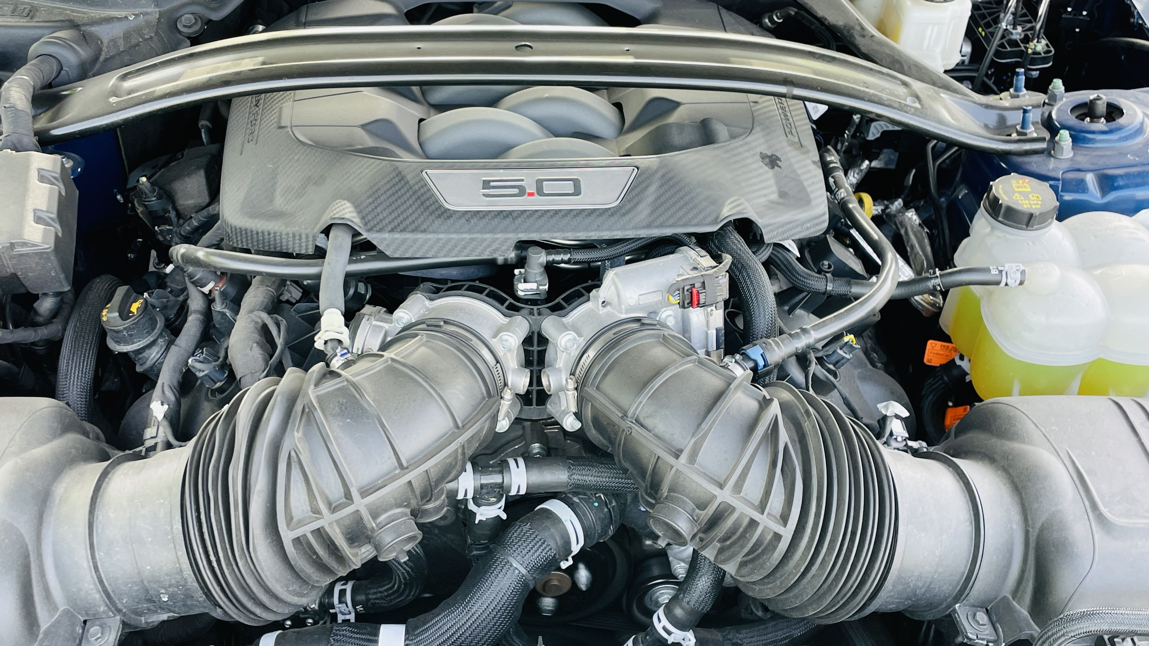 mustang_v8