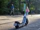 roller