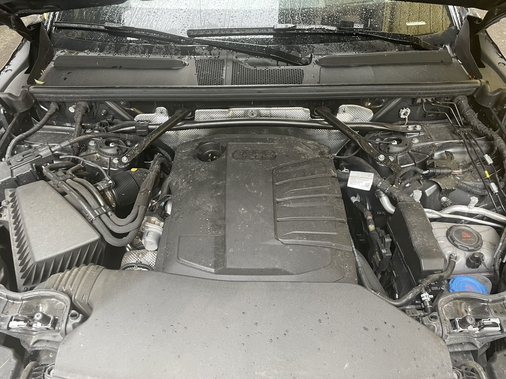 q5_motor